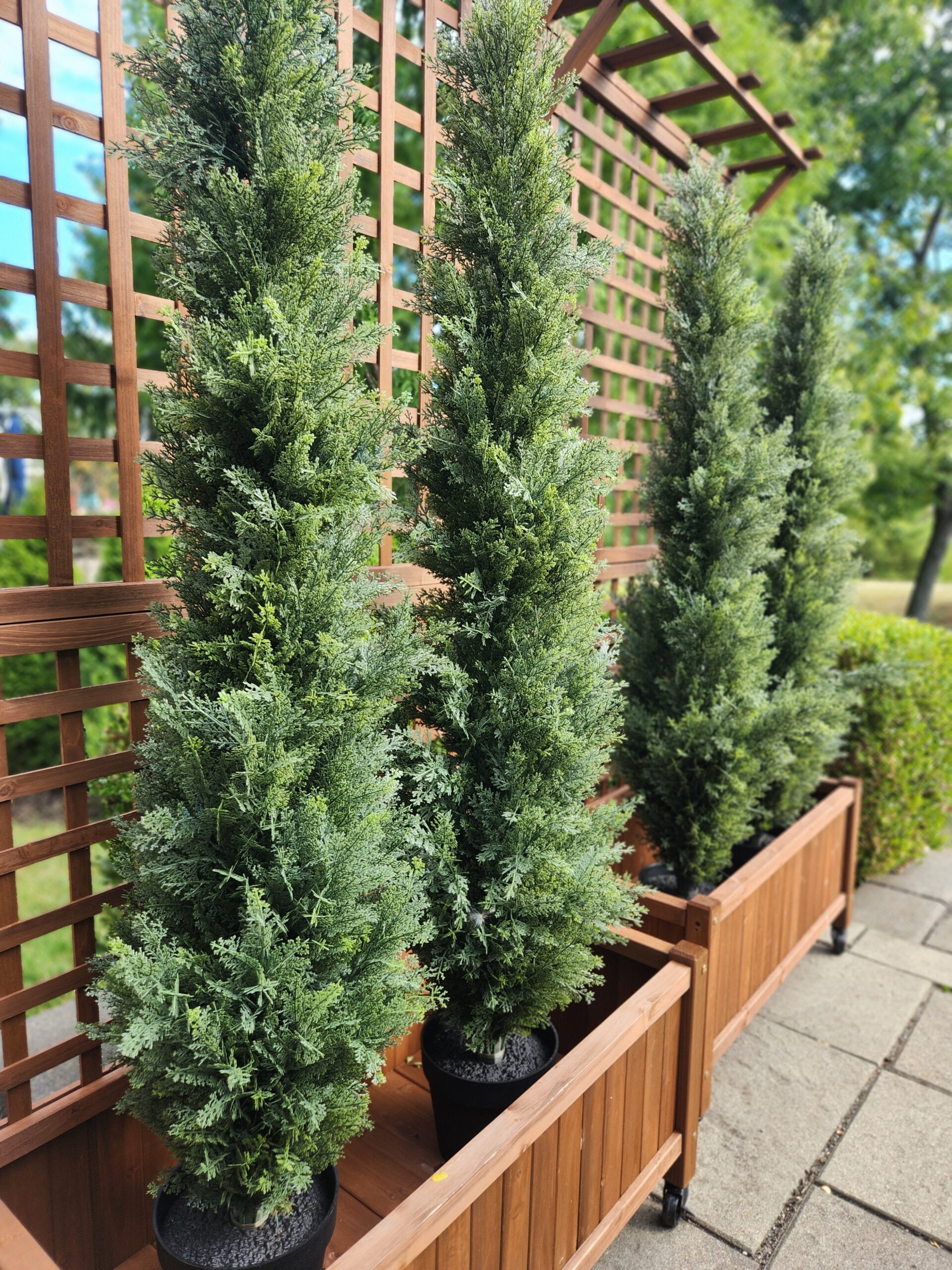 DIY Easy Backyard Patio Privacy Wall For Your Backyard