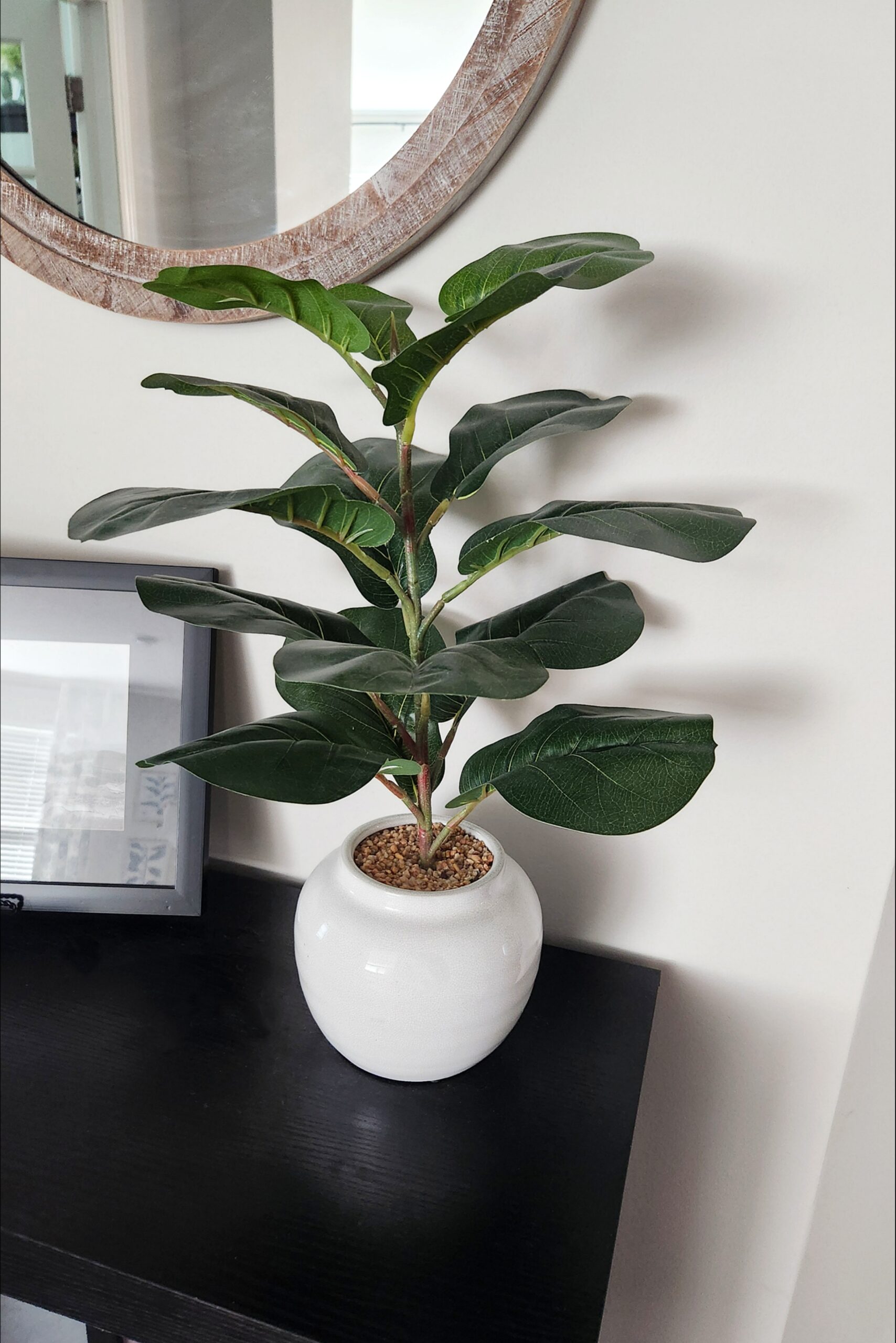 The Best Real & Faux Plants for Your Home Decor